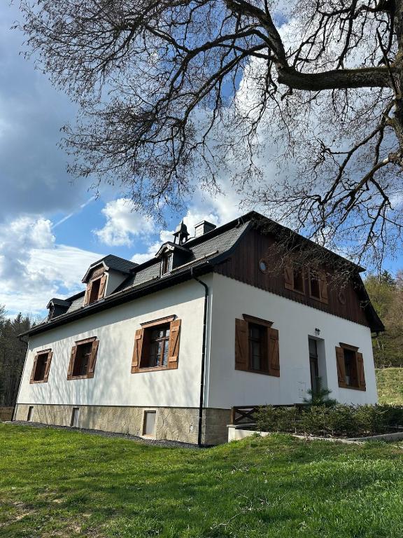Apartmán Ostrůvek 203 v lese